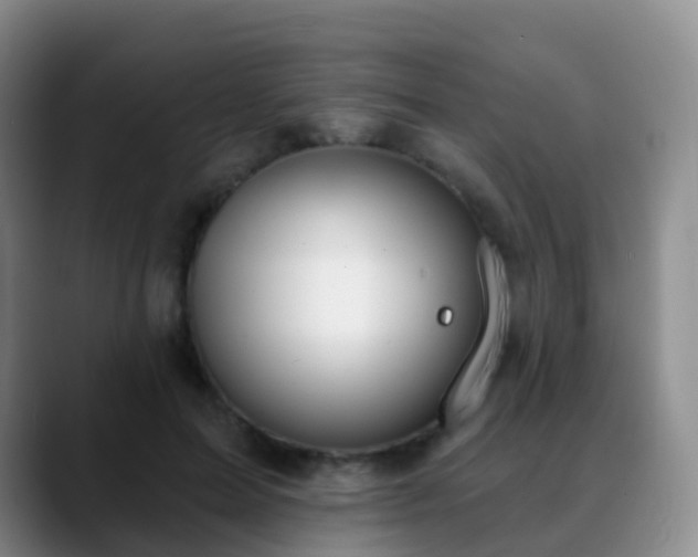 X0000088880599200706151813