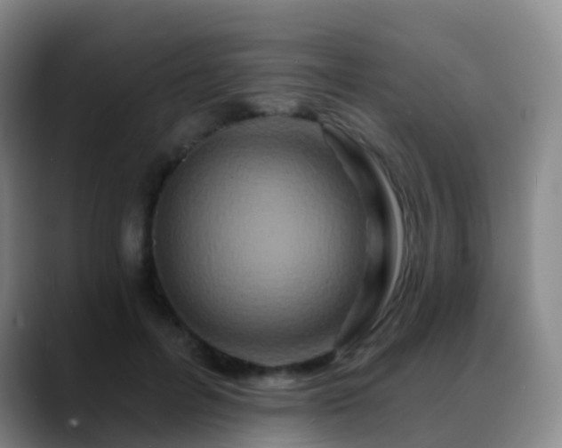 X0000088880600200706151813