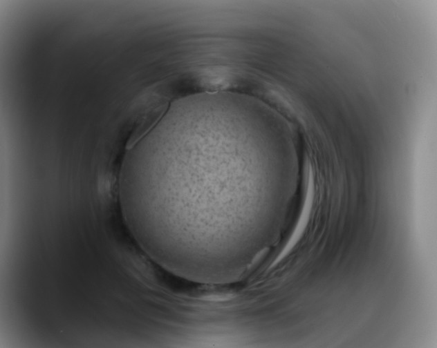 X0000088880601200706151813