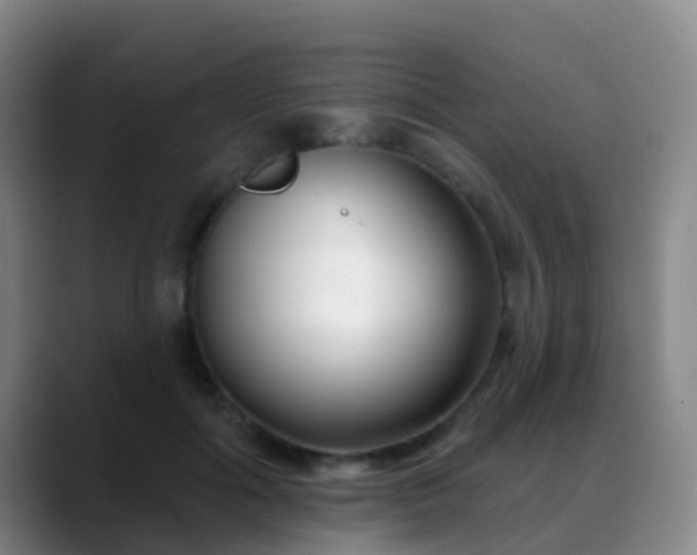 X0000088880602200706151813