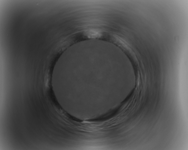 X0000088880604200706151812