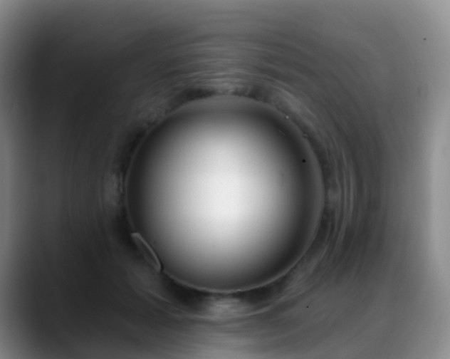 X0000088880605200706151812