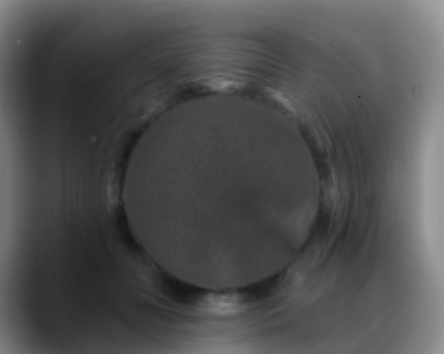 X0000088880606200706151812