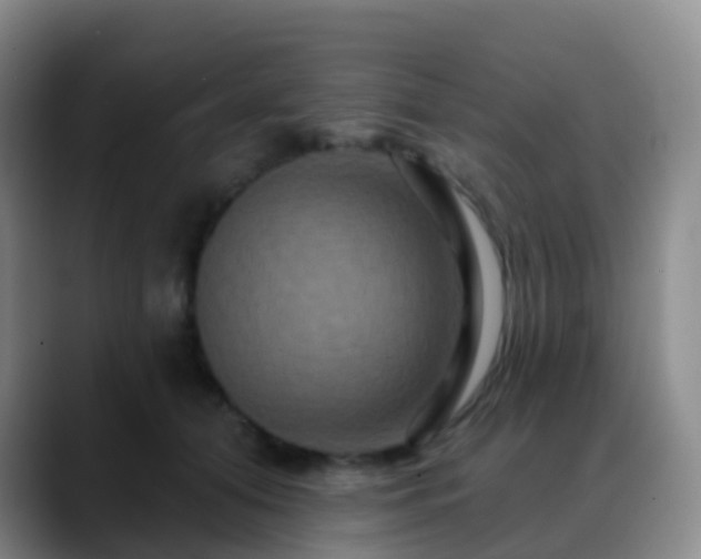 X0000088880608200706151812