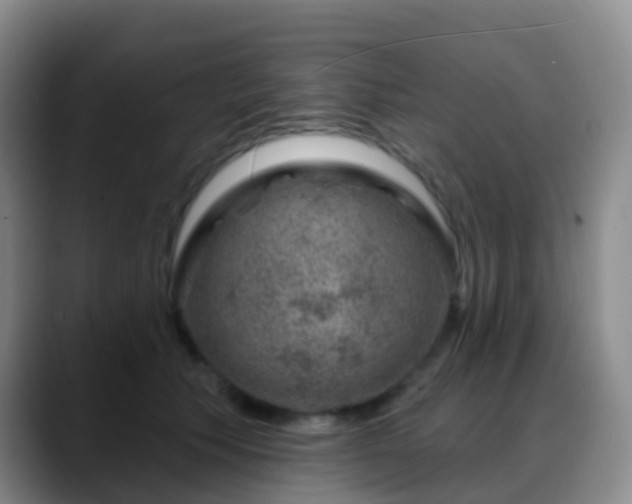 X0000088880609200706151812