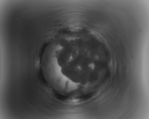 X0000088880610200706151812