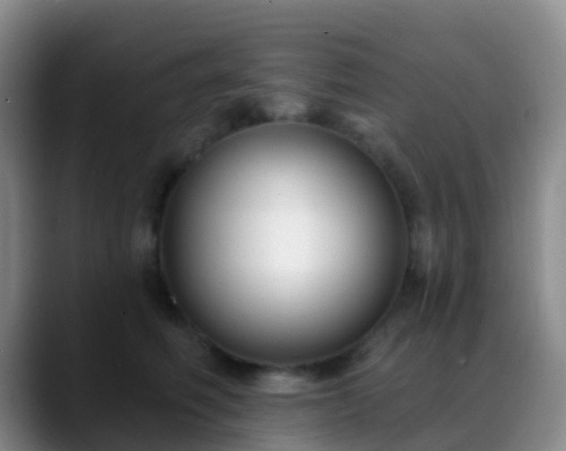 X0000088880614200706151812