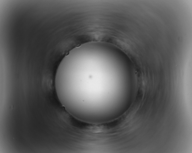 X0000088880615200706151812