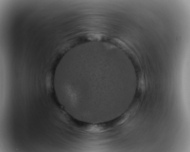 X0000088880616200706151812