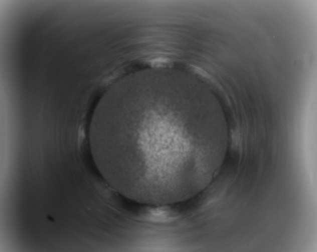 X0000088880618200706151812