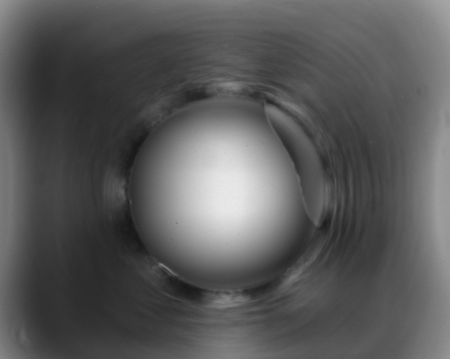 X0000088880621200706151812