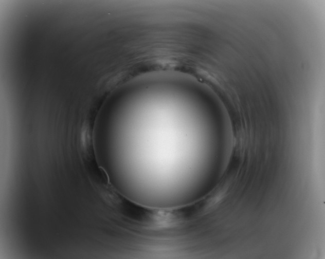 X0000088880623200706151812