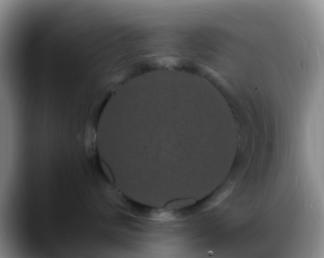 X0000088880624200706151812