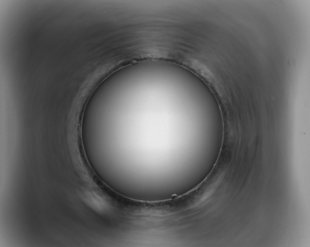 X0000088880625200706151812