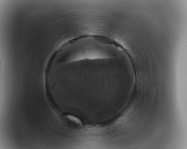 X0000088880626200706151812