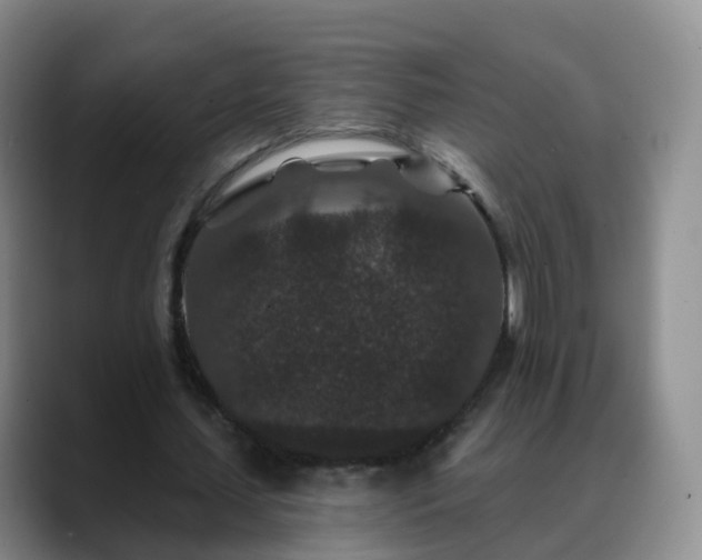 X0000088880627200706151812