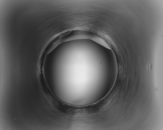 X0000088880628200706151812