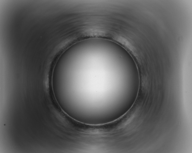 X0000088880629200706151812