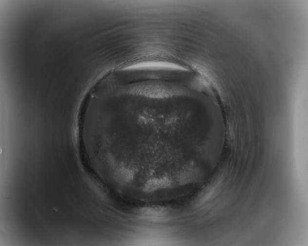 X0000088880630200706151812