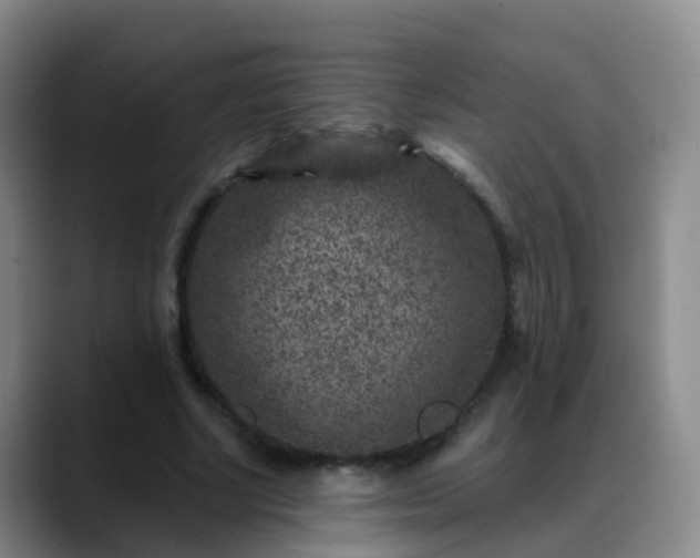 X0000088880634200706151812