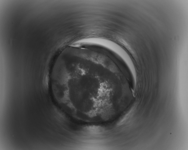 X0000088880637200706151812