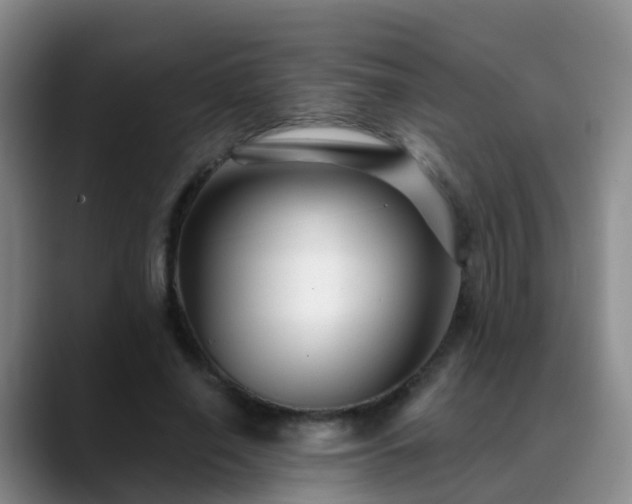 X0000088880638200706151812