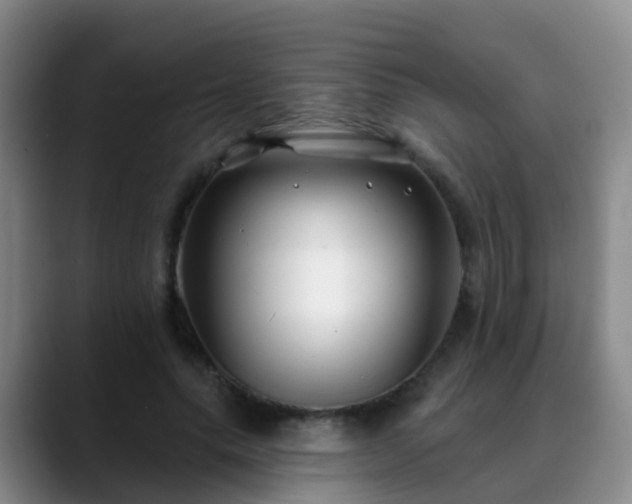 X0000088880639200706151812