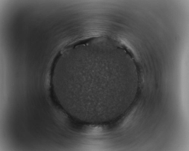 X0000088880640200706151812