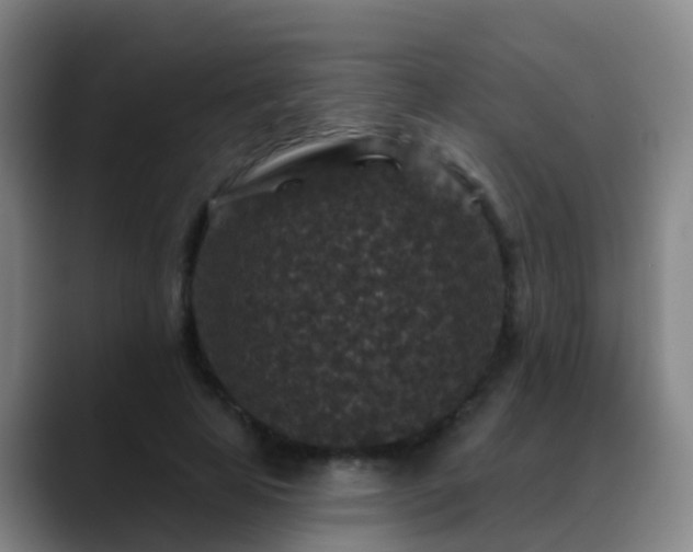 X0000088880641200706151812