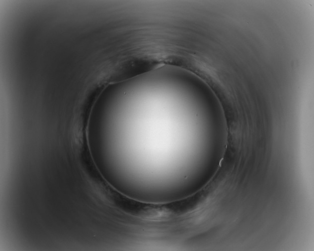 X0000088880642200706151812