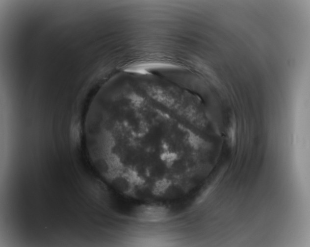 X0000088880644200706151812