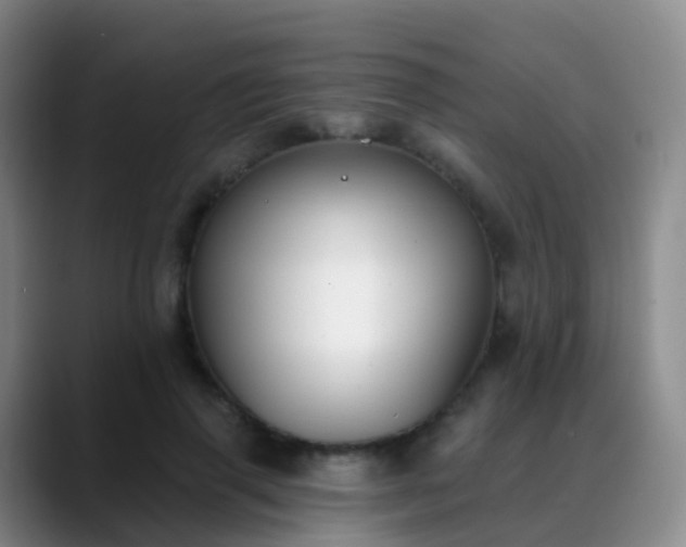 X0000088880645200706151812