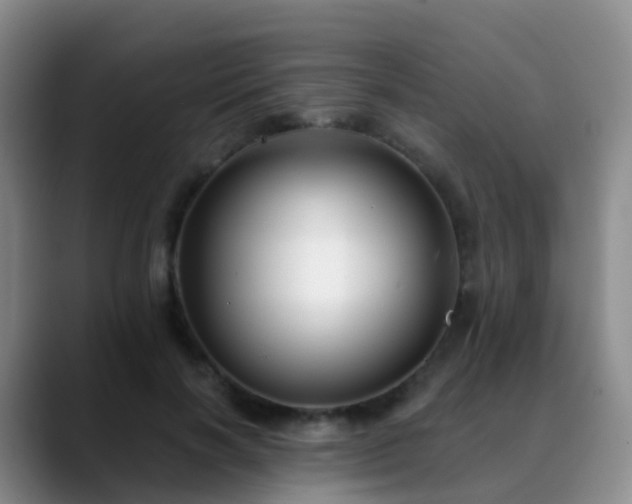 X0000088880646200706151812