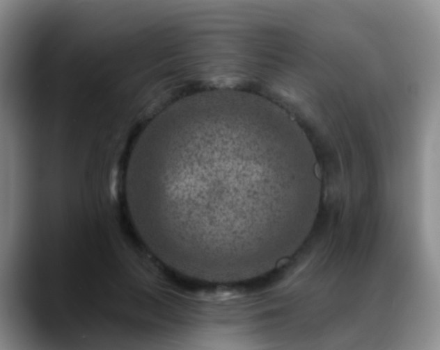 X0000088880647200706151812