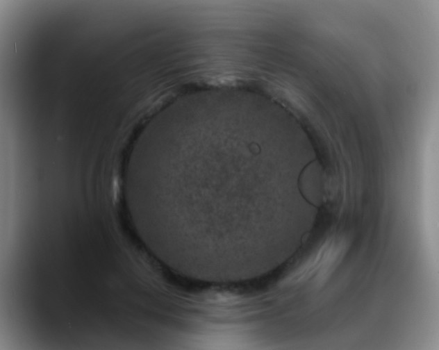 X0000088880648200706151812