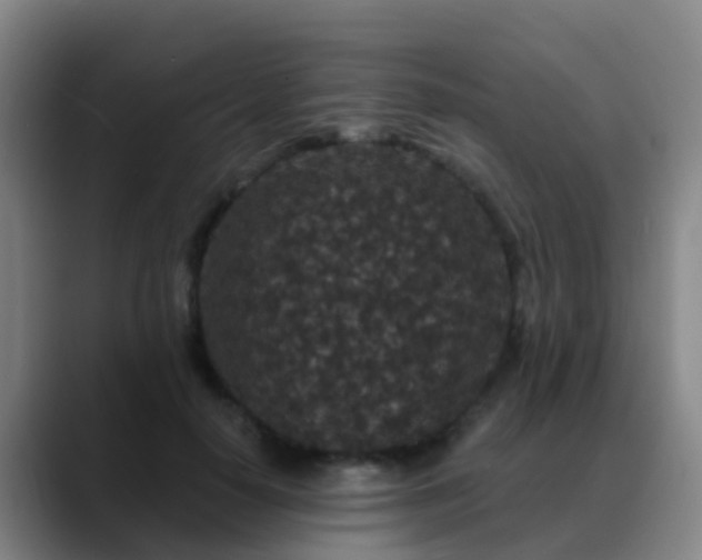 X0000088880650200706151812