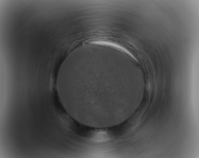 X0000088880651200706151812