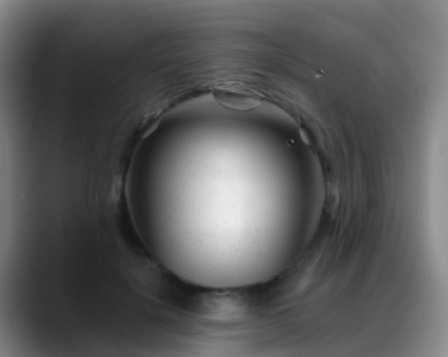 X0000088880652200706151812