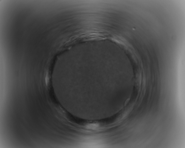 X0000088880653200706151812