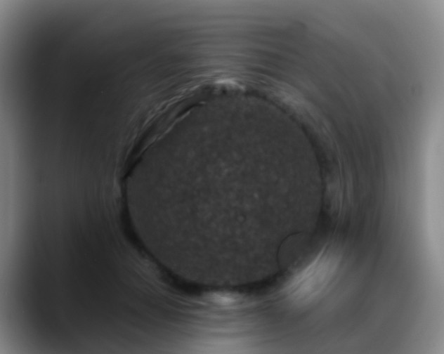 X0000088880654200706151812