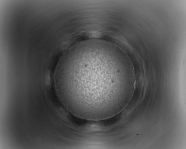 X0000088880655200706151812