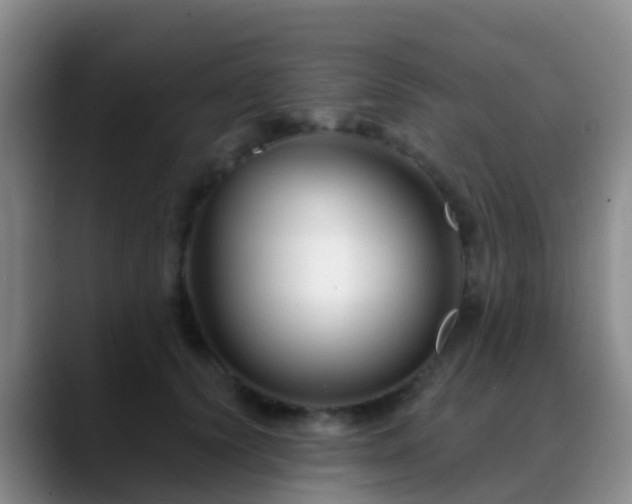 X0000088880656200706151812