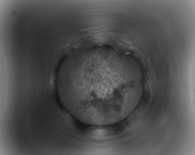 X0000088880658200706151812