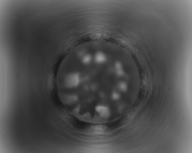 X0000088880659200706151812