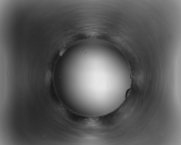 X0000088880660200706151812