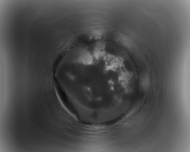 X0000088880661200706151812