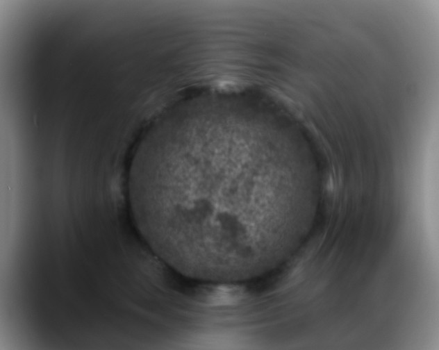 X0000088880663200706151812