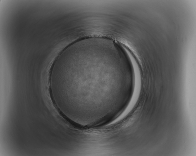 X0000088880673200706151812