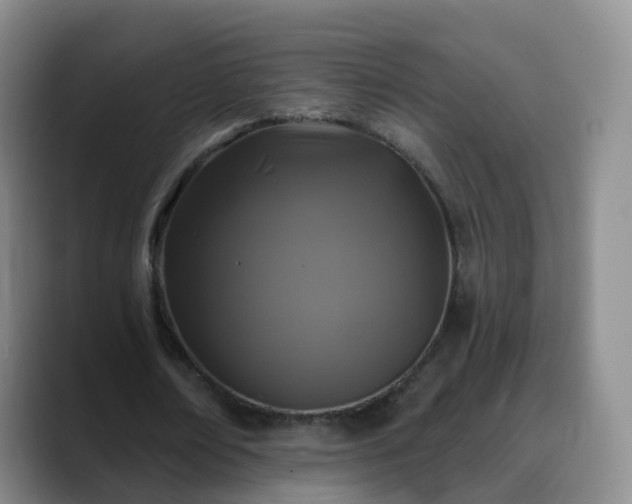 X0000088880674200706151812