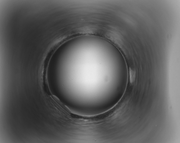 X0000088880675200706151812